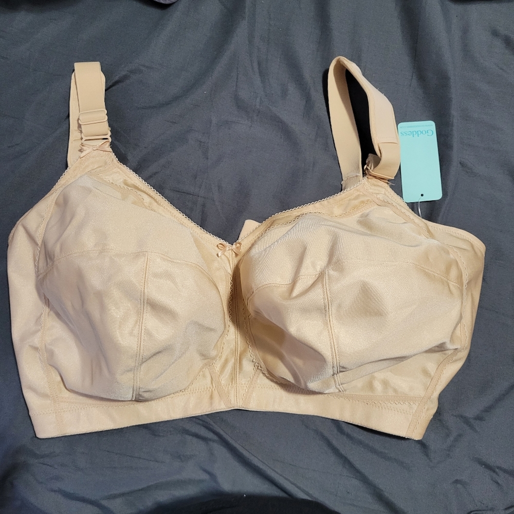 Goddess bra 38M